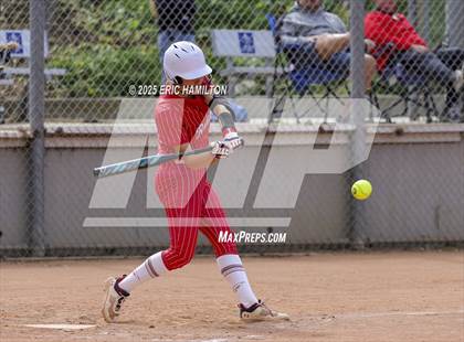 Thumbnail 3 in Peninsula @ Redondo Union photogallery.