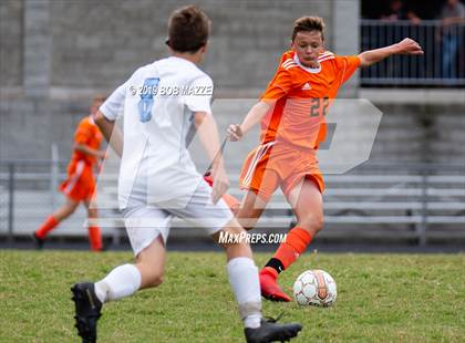 Thumbnail 3 in Burrell @ Springdale photogallery.