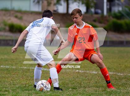 Thumbnail 3 in Burrell @ Springdale photogallery.