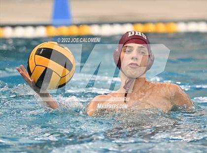 Thumbnail 1 in Brandeis vs Davenport (Bi-District) photogallery.