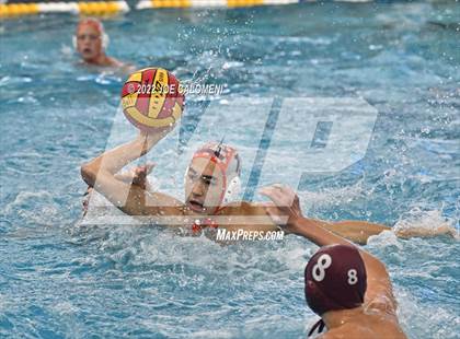 Thumbnail 1 in Brandeis vs Davenport (Bi-District) photogallery.