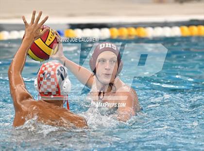 Thumbnail 1 in Brandeis vs Davenport (Bi-District) photogallery.