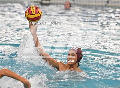 Thumbnail 1 in Brandeis vs Davenport (Bi-District) photogallery.