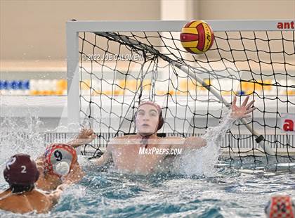 Thumbnail 1 in Brandeis vs Davenport (Bi-District) photogallery.