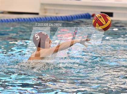 Thumbnail 1 in Brandeis vs Davenport (Bi-District) photogallery.