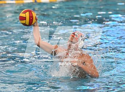 Thumbnail 1 in Brandeis vs Davenport (Bi-District) photogallery.