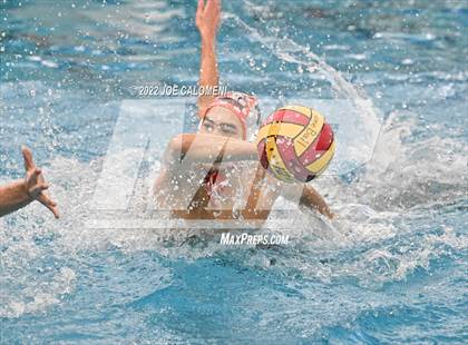 Thumbnail 1 in Brandeis vs Davenport (Bi-District) photogallery.