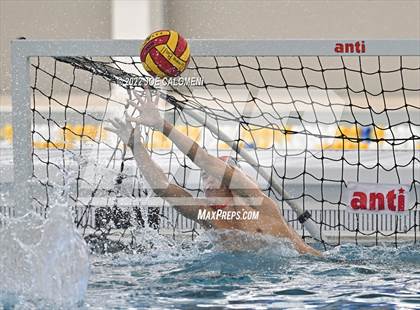 Thumbnail 2 in Brandeis vs Davenport (Bi-District) photogallery.