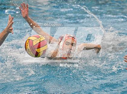 Thumbnail 2 in Brandeis vs Davenport (Bi-District) photogallery.