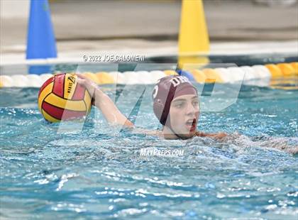 Thumbnail 1 in Brandeis vs Davenport (Bi-District) photogallery.