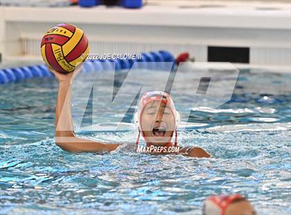 Thumbnail 1 in Brandeis vs Davenport (Bi-District) photogallery.