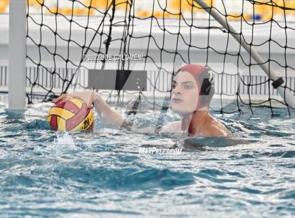Thumbnail 1 in Brandeis vs Davenport (Bi-District) photogallery.