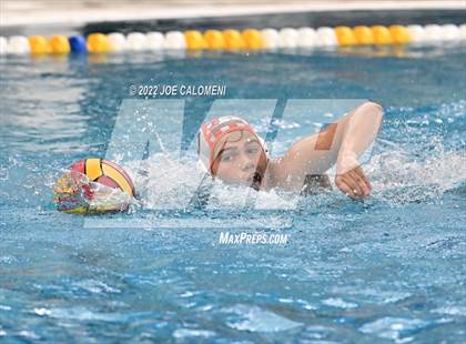 Thumbnail 1 in Brandeis vs Davenport (Bi-District) photogallery.