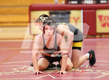 Thumbnail 1 in Del Oro @ Whitney photogallery.