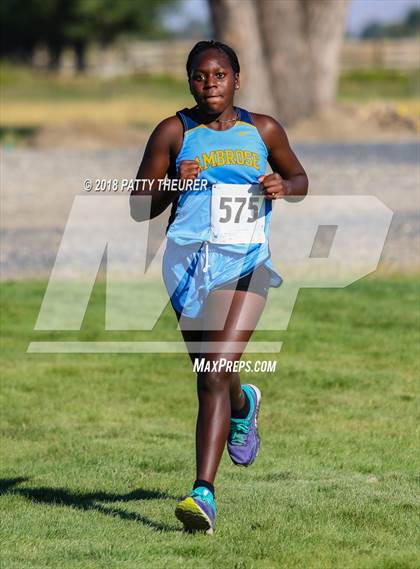 Thumbnail 1 in New Plymouth Invitational photogallery.