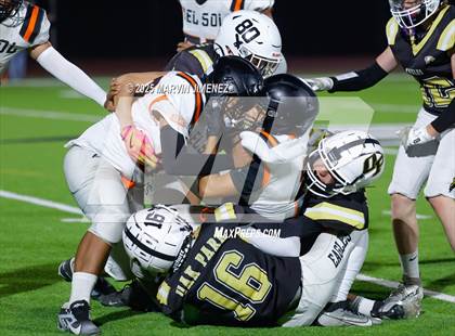 Thumbnail 1 in JV: Del Sol @ Oak Park photogallery.