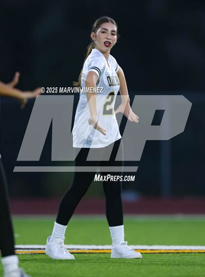 Thumbnail 2 in JV: Del Sol @ Oak Park photogallery.