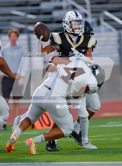 Thumbnail 2 in JV: Del Sol @ Oak Park photogallery.