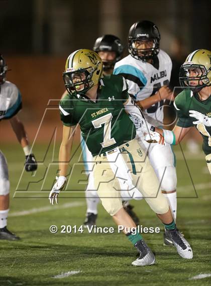 Thumbnail 3 in St. Monica vs. Malibu photogallery.