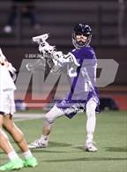 Photo from the gallery "Carlmont @ Mountain View"