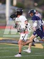 Photo from the gallery "Carlmont @ Mountain View"