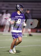 Photo from the gallery "Carlmont @ Mountain View"