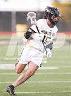 Photo from the gallery "Carlmont @ Mountain View"