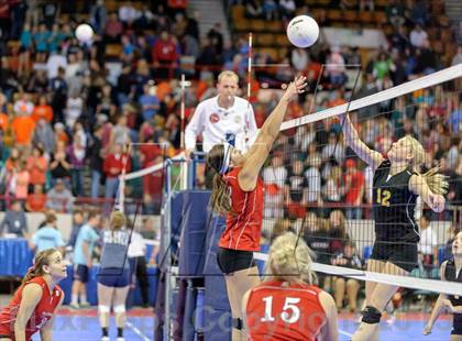 Thumbnail 3 in Caliche vs. Otis (CHSAA 1A Semifinals) photogallery.
