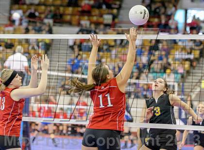Thumbnail 1 in Caliche vs. Otis (CHSAA 1A Semifinals) photogallery.