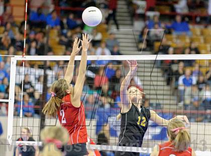 Thumbnail 3 in Caliche vs. Otis (CHSAA 1A Semifinals) photogallery.