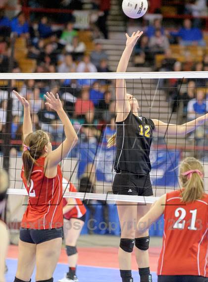 Thumbnail 2 in Caliche vs. Otis (CHSAA 1A Semifinals) photogallery.