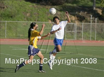Thumbnail 1 in Morse @ San Diego photogallery.