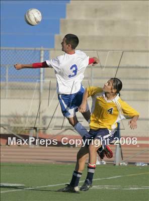 Thumbnail 3 in Morse @ San Diego photogallery.