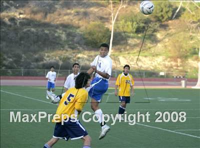 Thumbnail 2 in Morse @ San Diego photogallery.