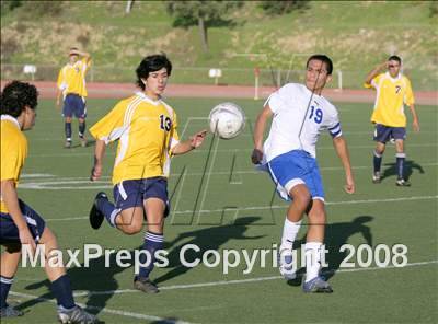 Thumbnail 2 in Morse @ San Diego photogallery.