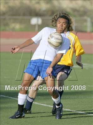 Thumbnail 1 in Morse @ San Diego photogallery.