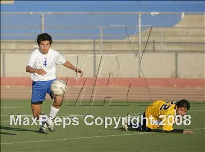 Thumbnail 2 in Morse @ San Diego photogallery.