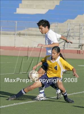 Thumbnail 2 in Morse @ San Diego photogallery.