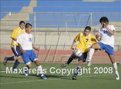 Thumbnail 1 in Morse @ San Diego photogallery.