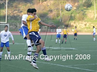 Thumbnail 2 in Morse @ San Diego photogallery.