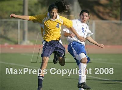 Thumbnail 2 in Morse @ San Diego photogallery.