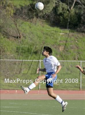 Thumbnail 2 in Morse @ San Diego photogallery.