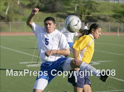 Thumbnail 2 in Morse @ San Diego photogallery.