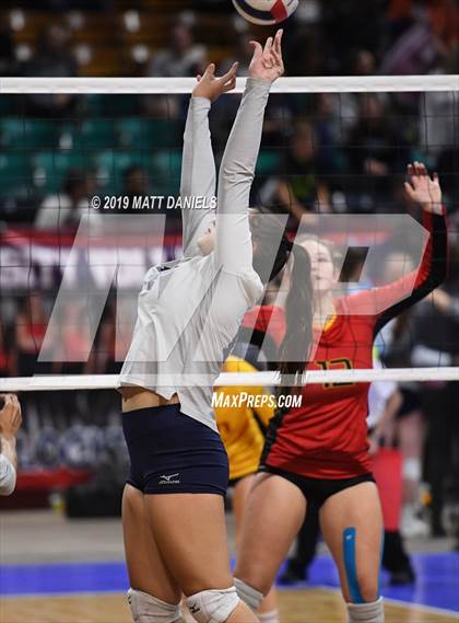 Thumbnail 3 in Palmer Ridge vs. Coronado (CHSAA 4A Playoff) photogallery.