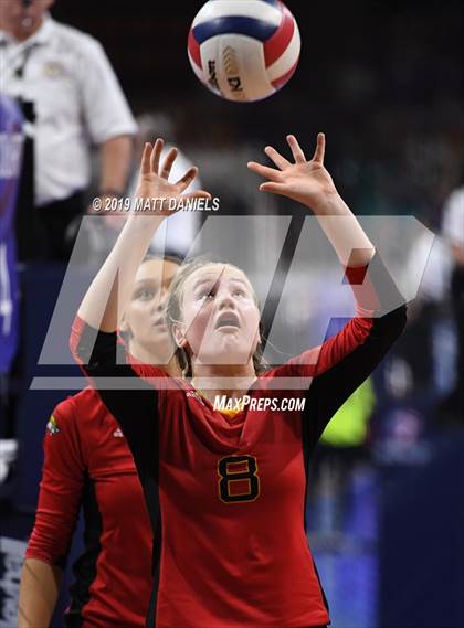Thumbnail 1 in Palmer Ridge vs. Coronado (CHSAA 4A Playoff) photogallery.