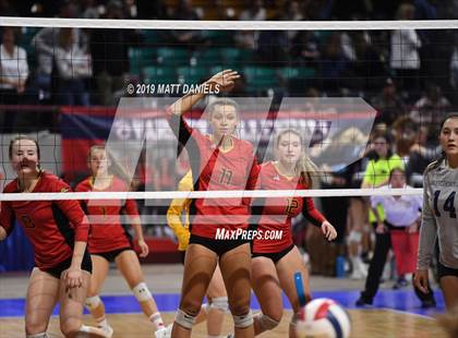 Thumbnail 2 in Palmer Ridge vs. Coronado (CHSAA 4A Playoff) photogallery.