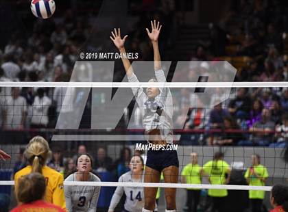 Thumbnail 3 in Palmer Ridge vs. Coronado (CHSAA 4A Playoff) photogallery.