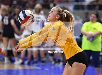 Thumbnail 2 in Palmer Ridge vs. Coronado (CHSAA 4A Playoff) photogallery.