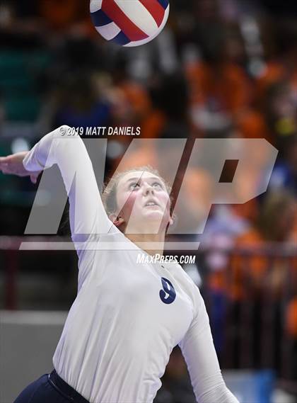 Thumbnail 3 in Palmer Ridge vs. Coronado (CHSAA 4A Playoff) photogallery.
