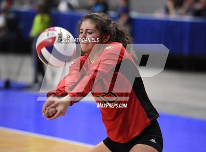 Thumbnail 1 in Palmer Ridge vs. Coronado (CHSAA 4A Playoff) photogallery.